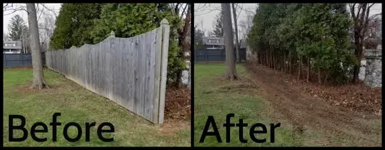 Side-by-side before and after of a fence removal: a weathered grey privacy fence, then the cleared strip planted with arborvitae