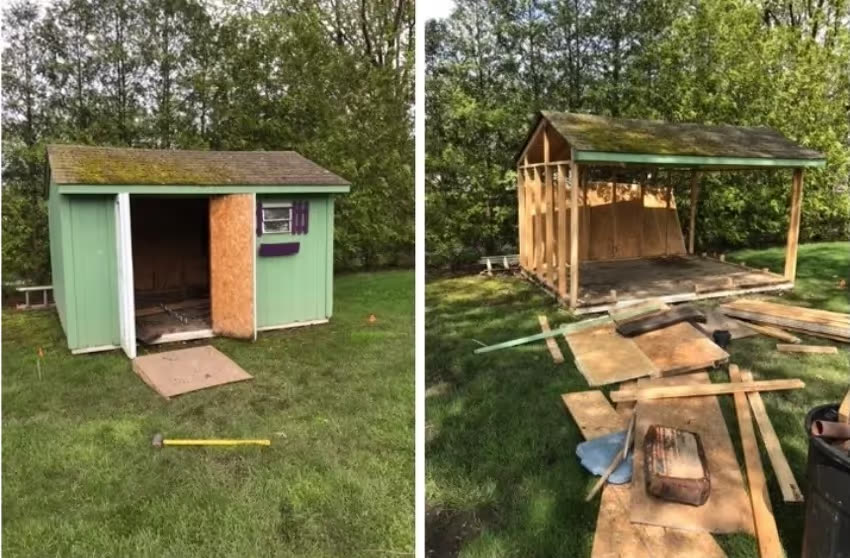 Side-by-side before and after of a shed removal: an intact green shed, then the same shed stripped to its framing